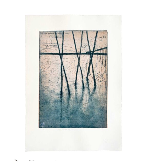 Hydrographic maps of the lagoon - Campalto