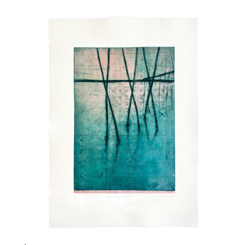 Hydrographic maps of the lagoon - Campalto