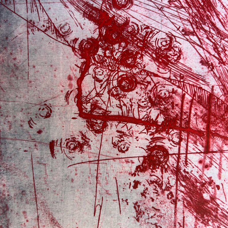 Cerca il miele #4 - immagine 2
