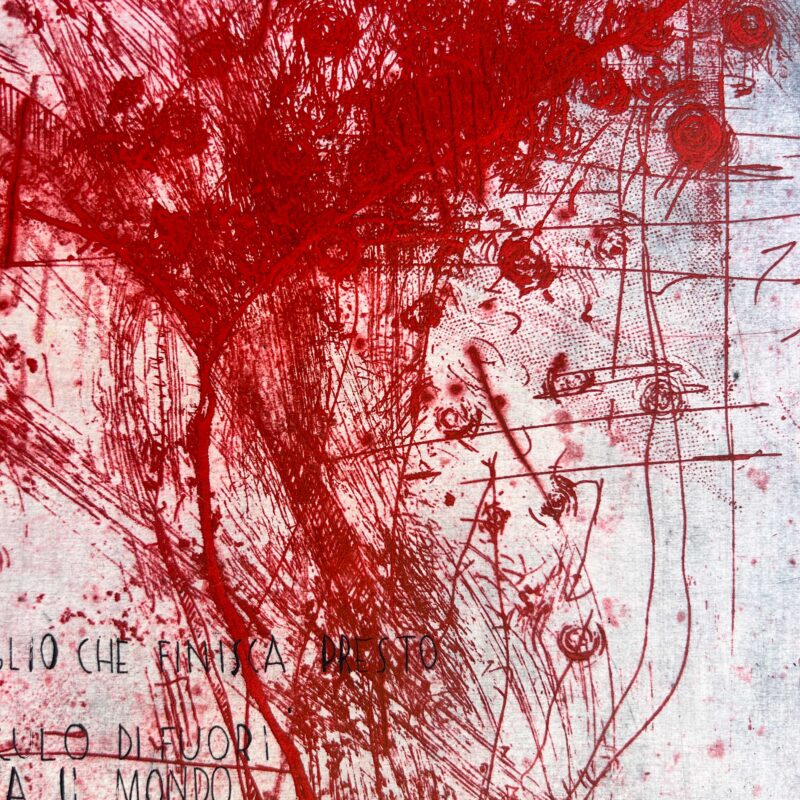 Cerca il miele #4 - immagine 3