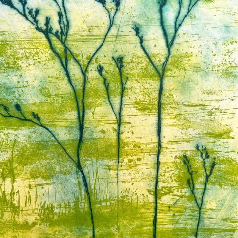 Limonio - Image 2