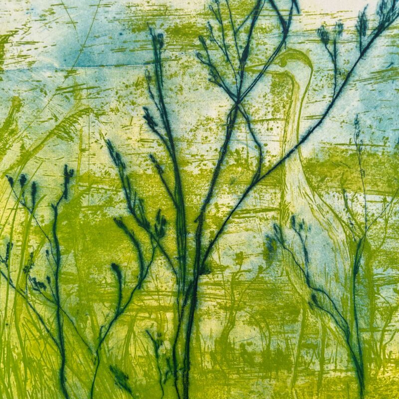 Limonio - Image 3