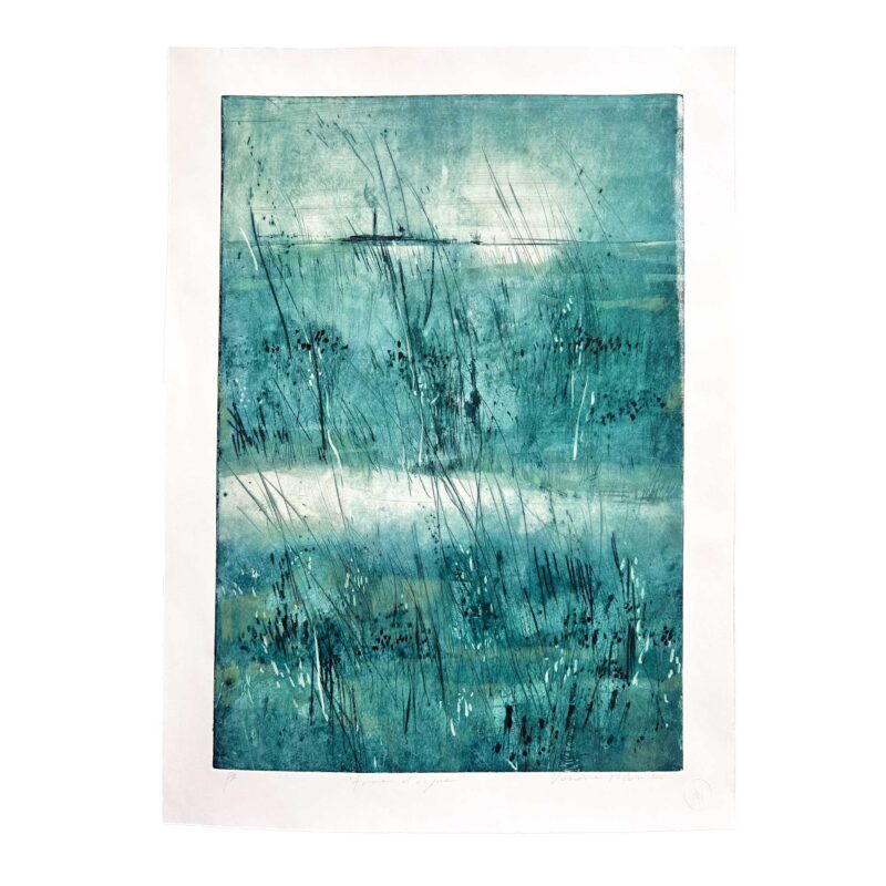 Terre d'acqua