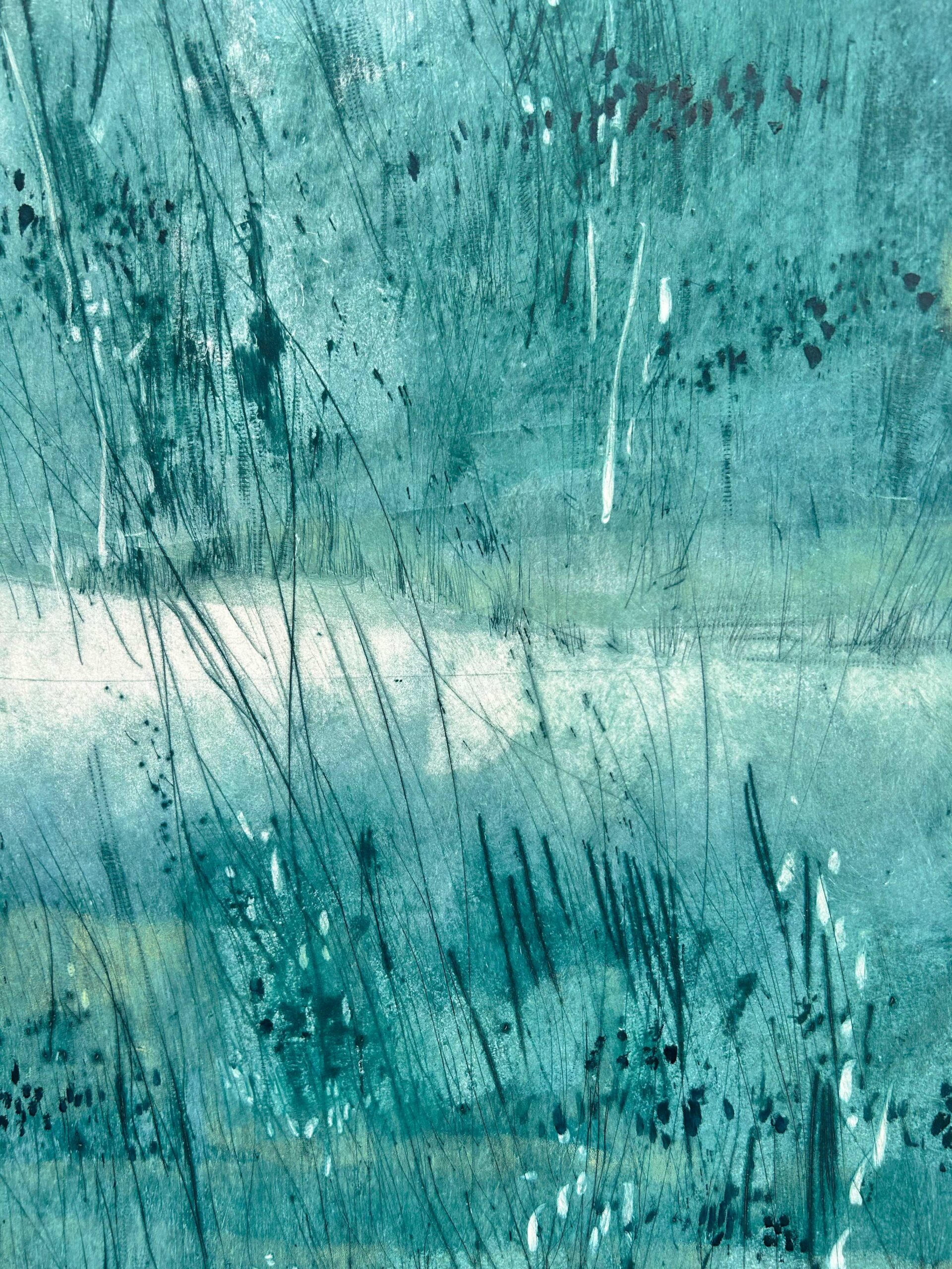 Terre d'acqua - immagine 2